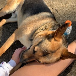 Meet your Posher, Mary brooks